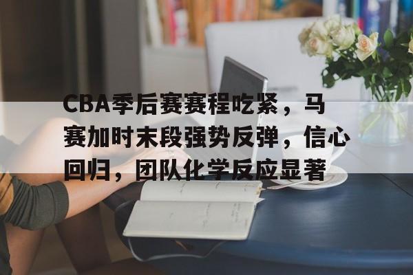 爱游戏APP-CBA季后赛赛程吃紧，马赛加时末段强势反弹，信心回归，团队化学反应显著的简单介绍
